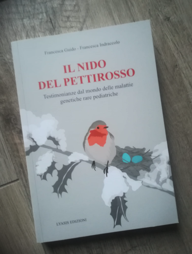 Il nido del pettirosso